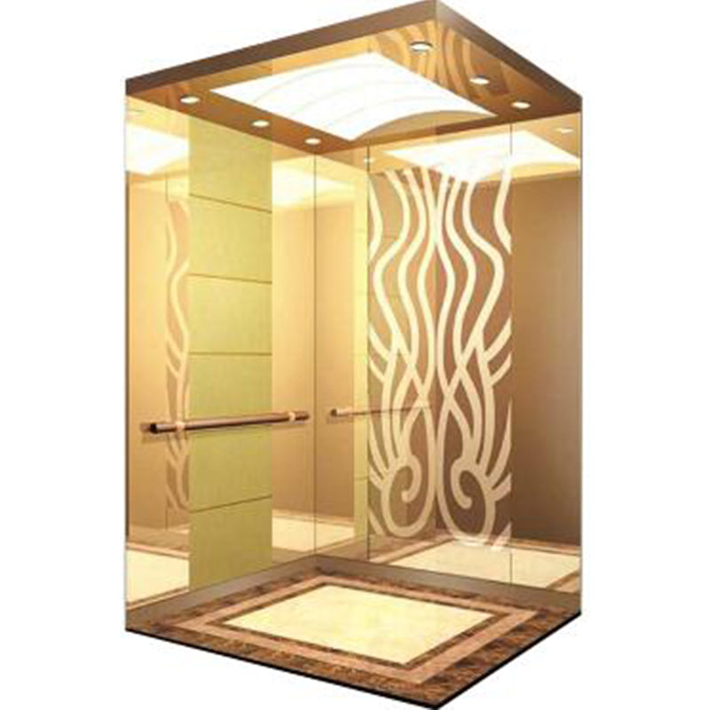 apashilongdianti Wooden decoration passenger villa elevatorAPSL-B09  Silent elevator Residential elevator