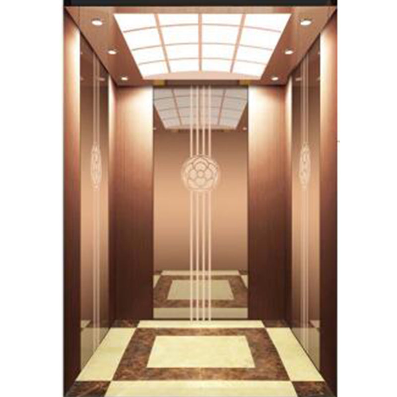 apashilongdianti Boutique passenger villa elevatorAPSL-R2020-26  Silent lift home outdoor