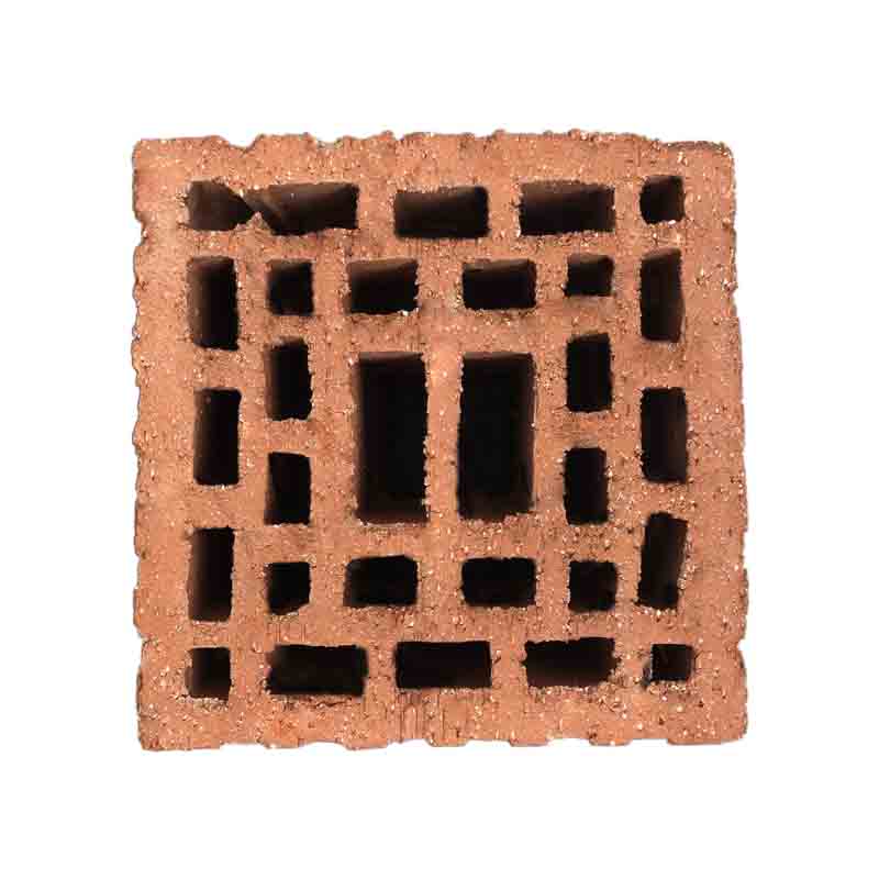 Tedon Sintered porous brick of coal gangue  Concrete cement brick laminated rock brick porous brick