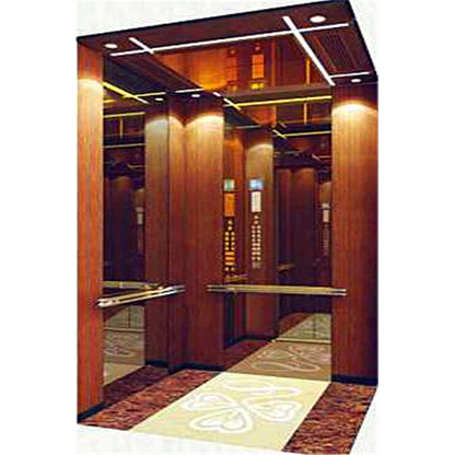 apashilongdianti Luxury villa elevatorAPSL-B21  Silent elevator Residential elevator