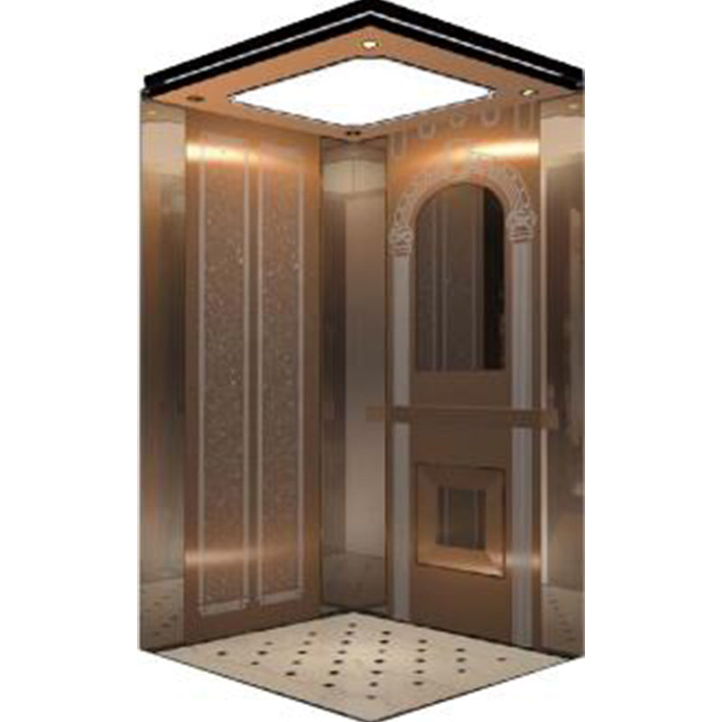 apashilongdianti Luxury villa elevatorAPSL-B07  Silent elevator Residential elevator