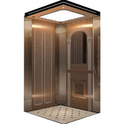apashilongdianti Luxury villa elevatorAPSL-B07  Silent elevator Residential elevator