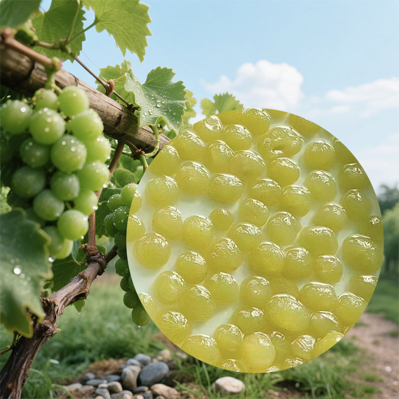 huayushipin Canned Grapes in syrup（Specific prices consult customer service）No preservatives. Flesh is full.