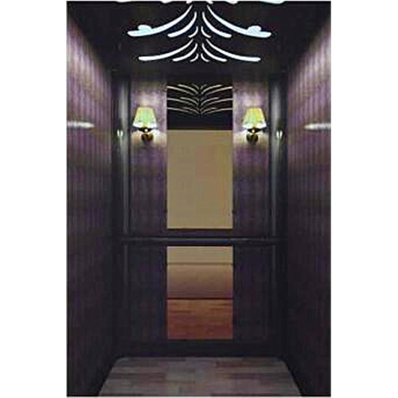 apashilongdianti Luxury villa elevatorAPSL-B07  Silent elevator Residential elevator