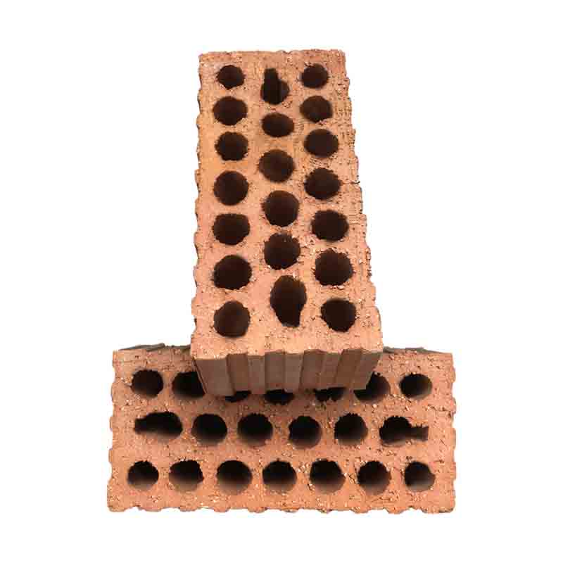 Tedon Coal gangue sintered porous brick  Perforated wall bricks Build wall bricks