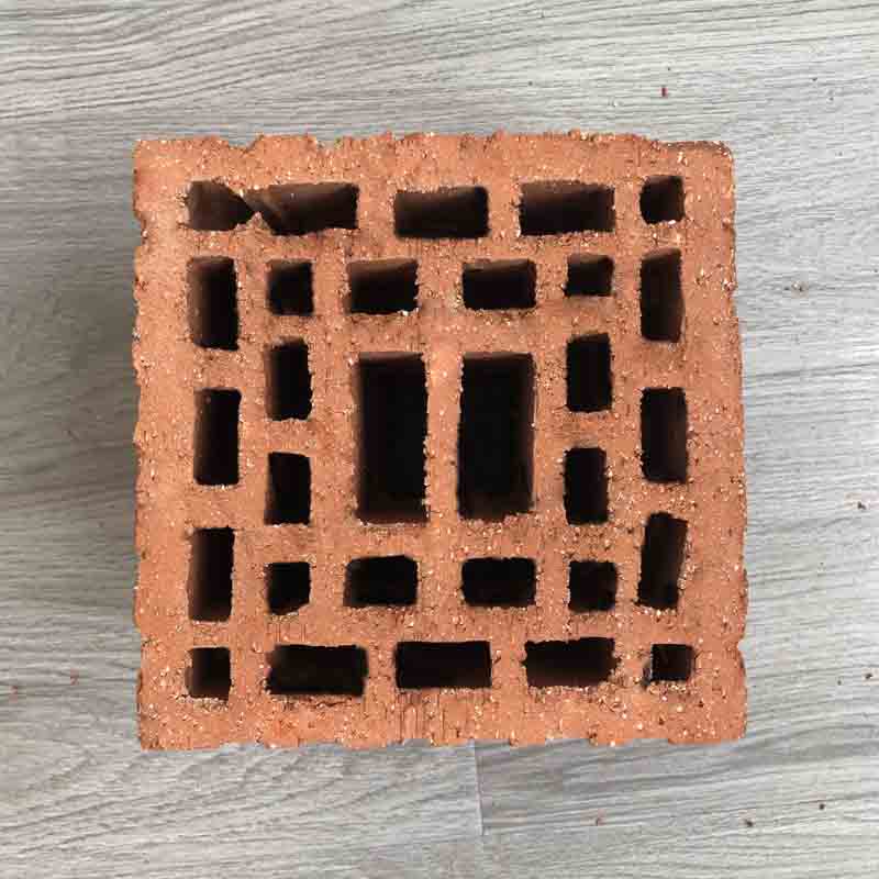 Tedon Sintered porous brick of coal gangue  Concrete cement brick laminated rock brick porous brick