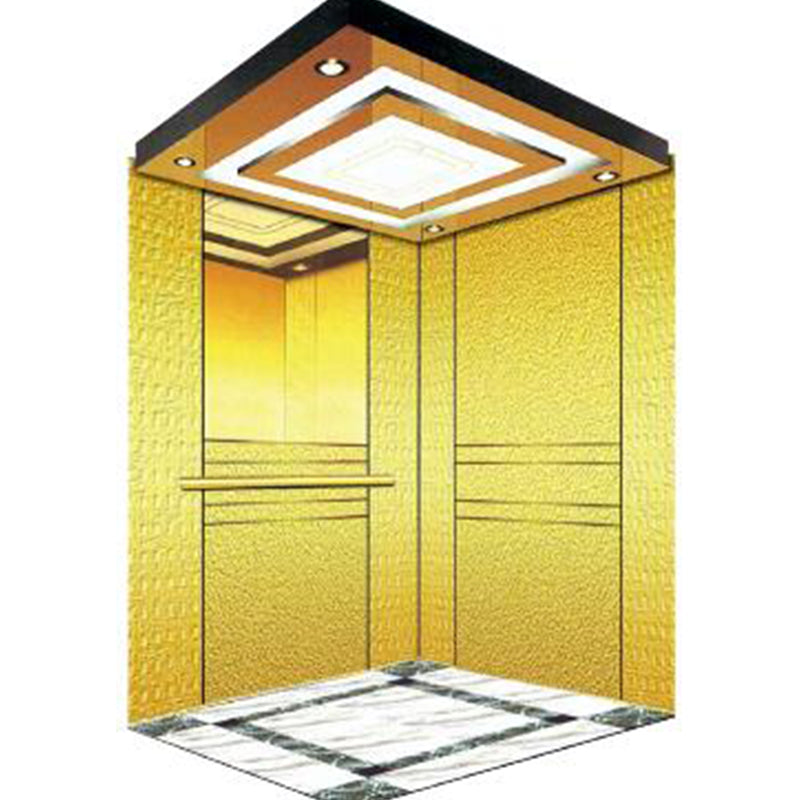 apashilongdianti Wooden decoration passenger villa elevatorAPSL-B09  Silent elevator Residential elevator