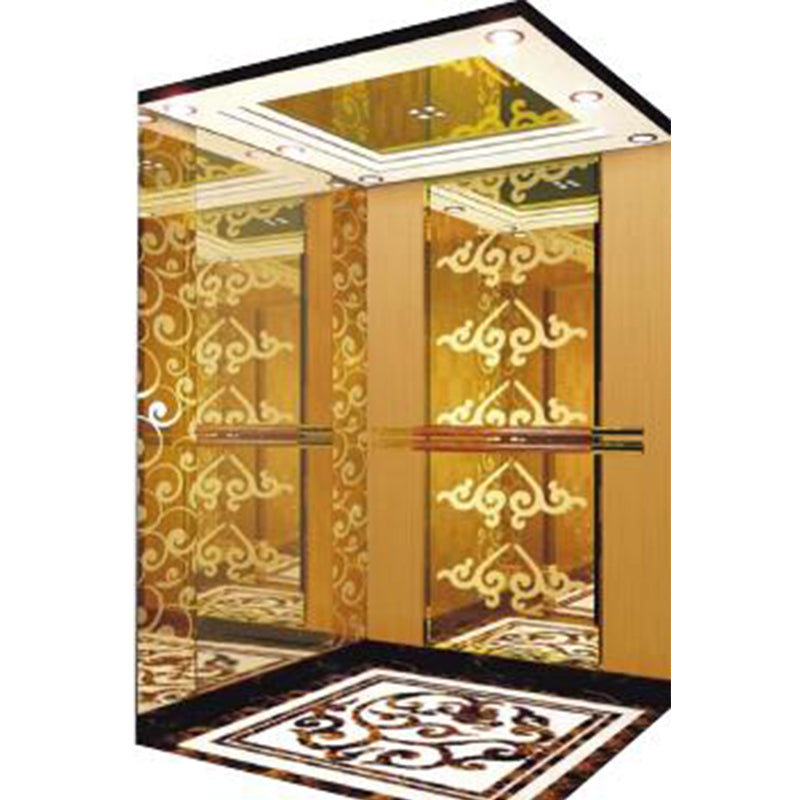 apashilongdianti Luxury villa elevatorAPSL-B21  Silent elevator Residential elevator