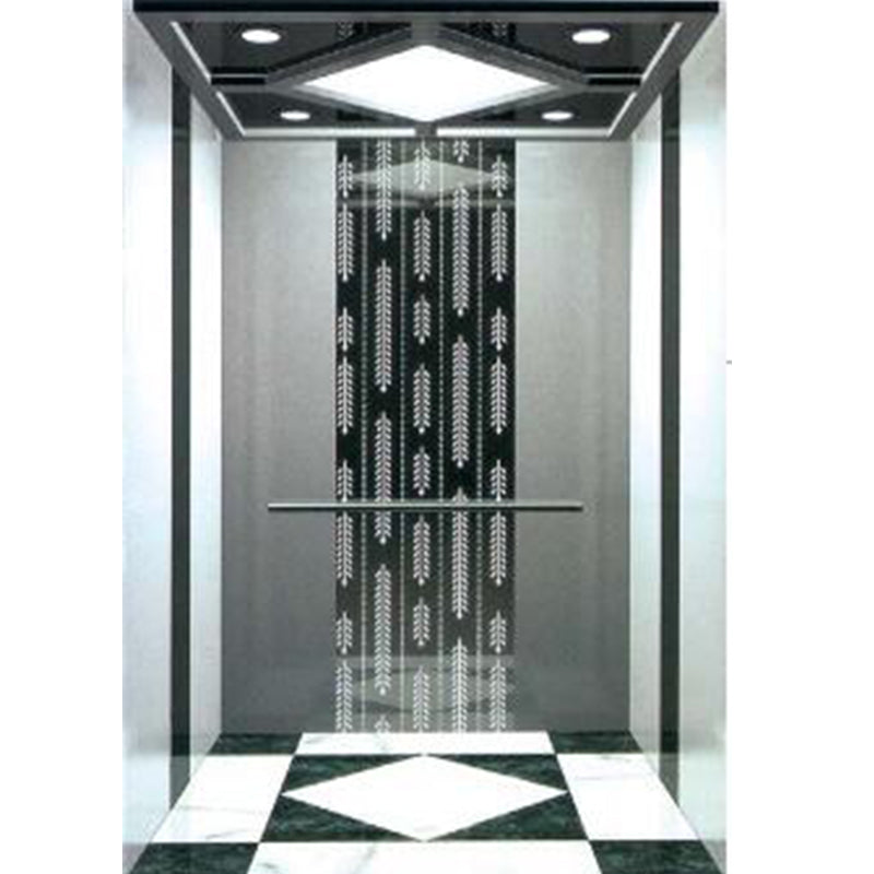 apashilongdianti Luxury passenger elevatorAPSL-K001  Small villa elevator Residential elevator