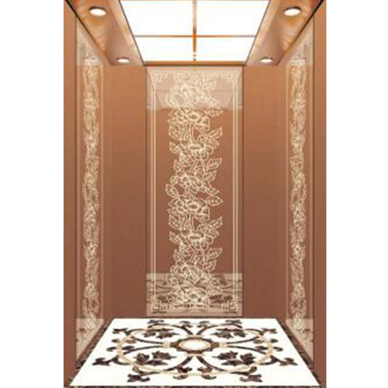 apashilongdianti Boutique passenger villa elevatorAPSL-R114  Silent lift home outdoor