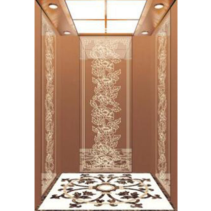apashilongdianti Boutique passenger villa elevatorAPSL-R114  Silent lift home outdoor