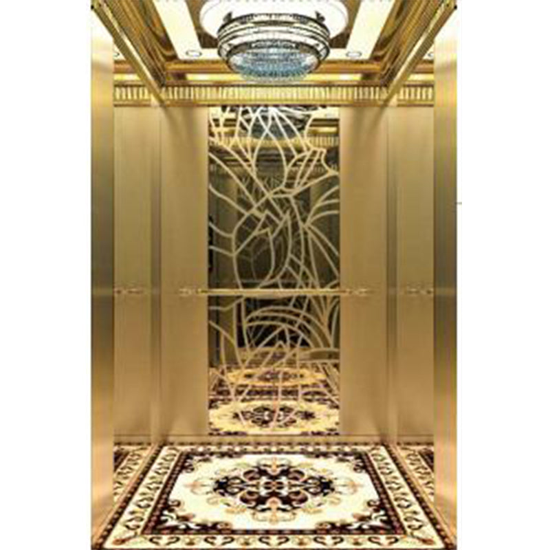 apashilongdianti Full view sightseeing elevatorAPSL-B05  Small villa elevator hydraulic elevator