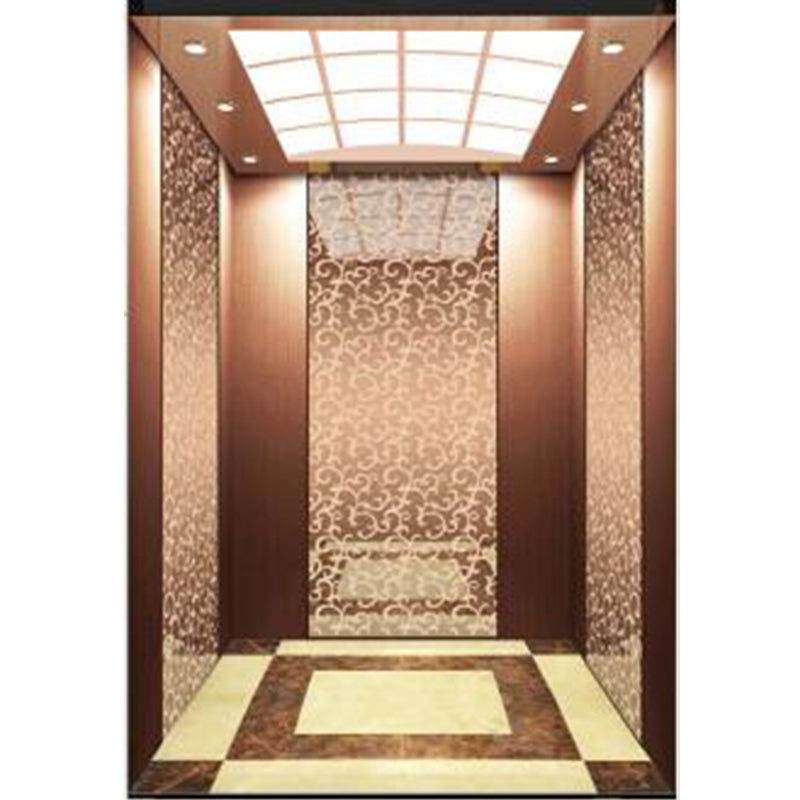 apashilongdianti Boutique passenger villa elevatorAPSL-R2020-26  Silent lift home outdoor