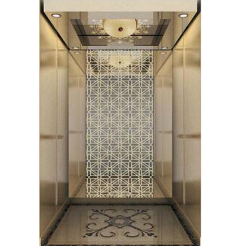 apashilongdianti Full view sightseeing elevatorAPSL-B05  Small villa elevator hydraulic elevator