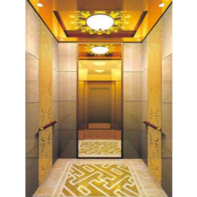 apashilongdianti Luxury Villa passenger liftAPSL-R2019-19  Silent elevator Residential elevator