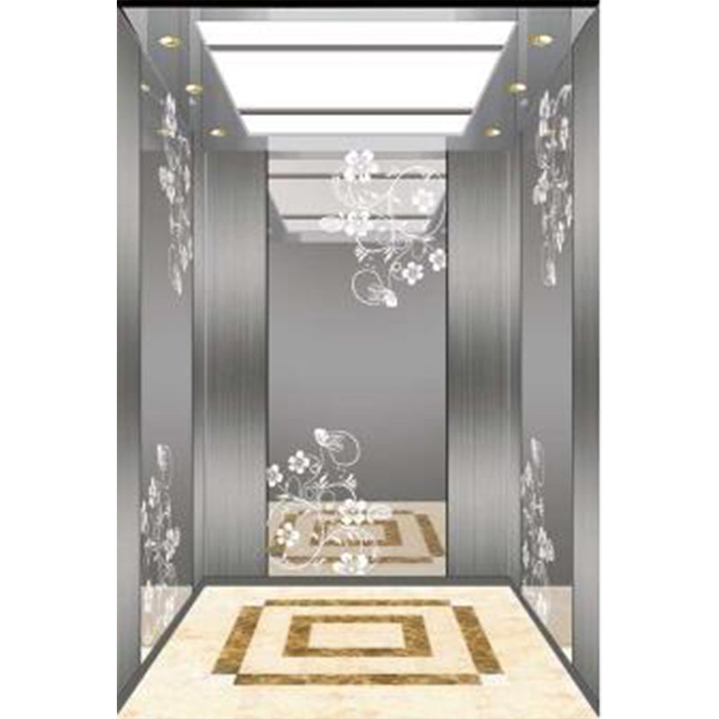 apashilongdianti Luxury passenger elevatorAPSL-K001  Small villa elevator Residential elevator