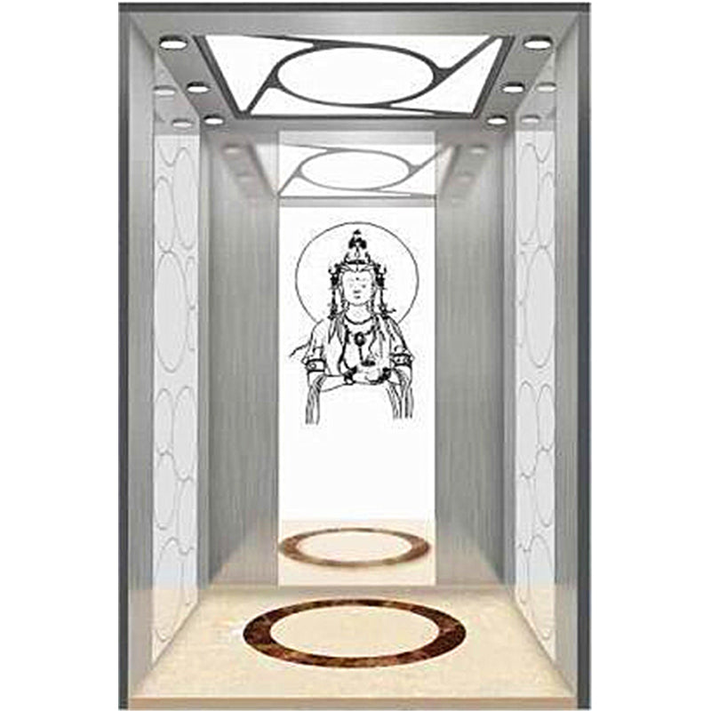 apashilongdianti Classic passenger elevator APSL-B03  Small villa elevator hydraulic elevator