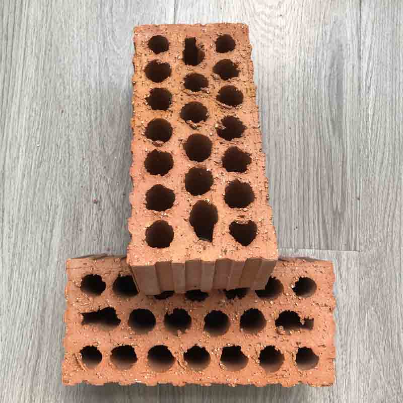 Tedon Coal gangue sintered porous brick  Perforated wall bricks Build wall bricks