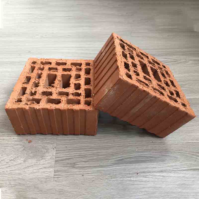 Tedon Sintered porous brick of coal gangue  Concrete cement brick laminated rock brick porous brick