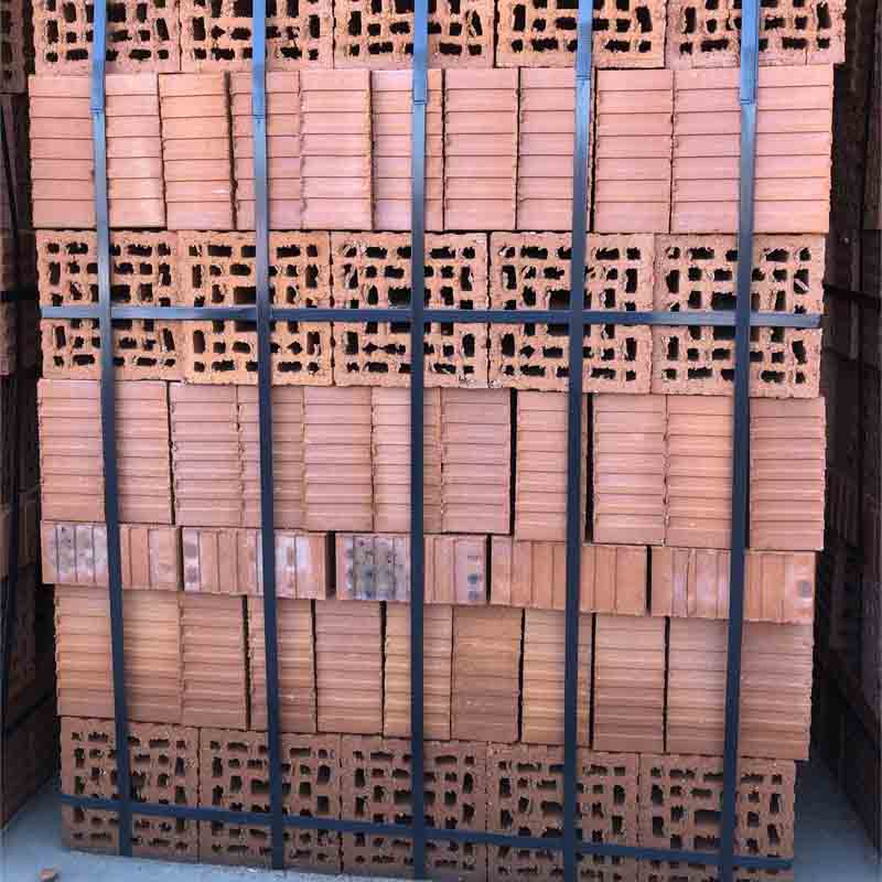 Tedon Coal gangue sintered porous brick  Perforated wall bricks Build wall bricks