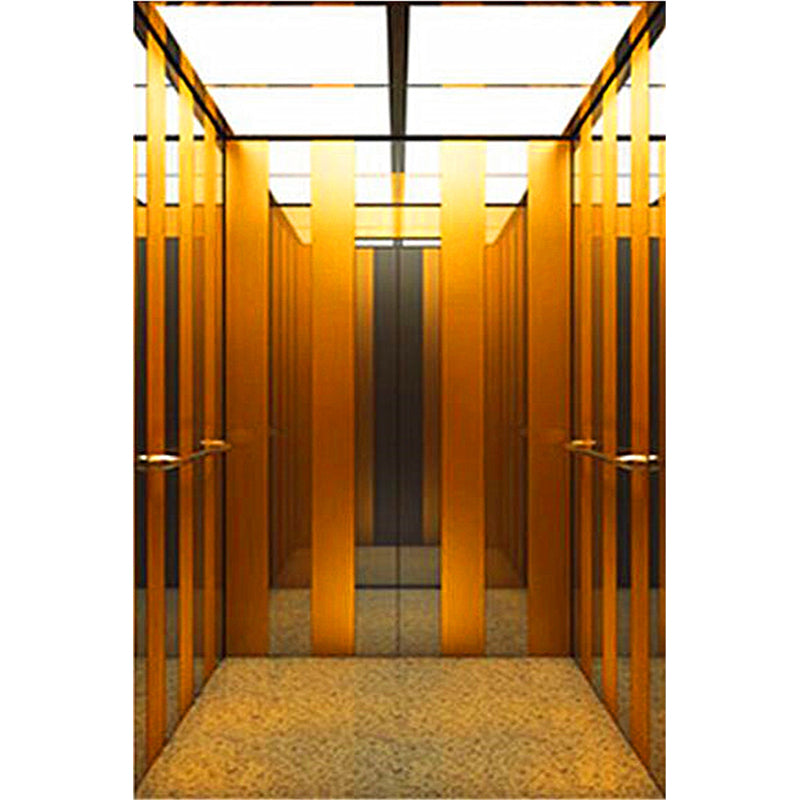 apashilongdianti Luxury villa elevatorAPSL-B07  Silent elevator Residential elevator