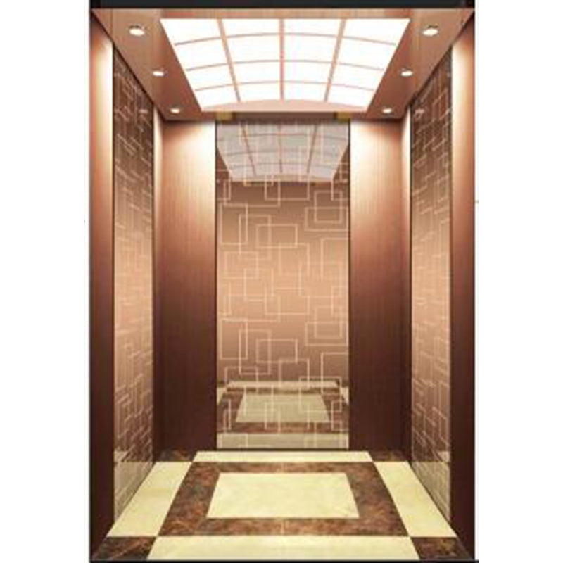 apashilongdianti Boutique passenger villa elevatorAPSL-R2020-26  Silent lift home outdoor