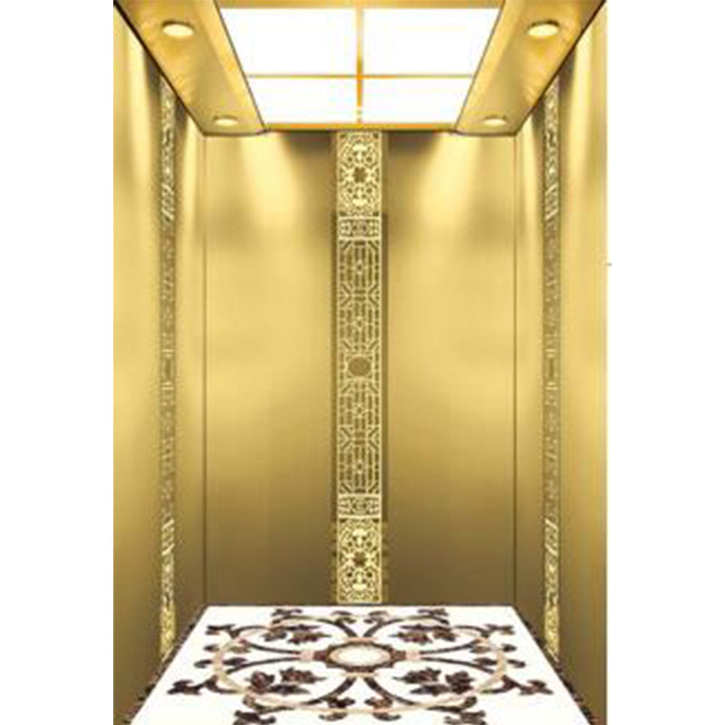 apashilongdianti Boutique passenger villa elevatorAPSL-R114  Silent lift home outdoor