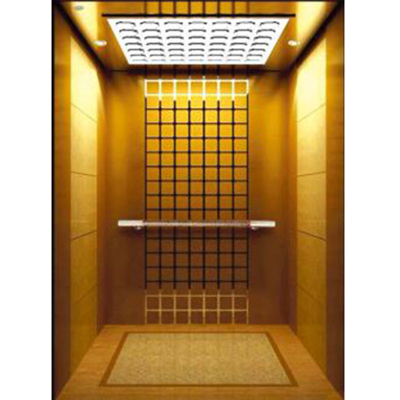 apashilongdianti Luxury Villa passenger liftAPSL-R2019-19  Silent elevator Residential elevator