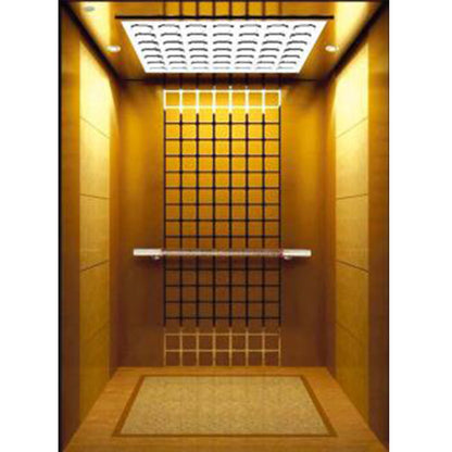 apashilongdianti Luxury Villa passenger liftAPSL-R2019-19  Silent elevator Residential elevator