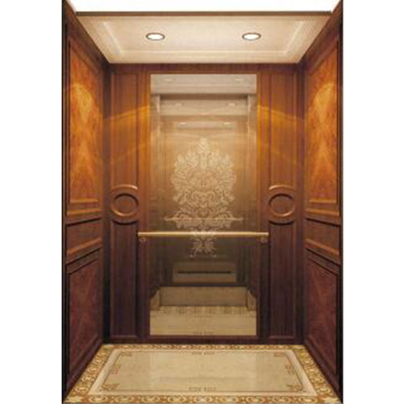 apashilongdianti Wooden decoration passenger villa elevatorAPSL-B09  Silent elevator Residential elevator