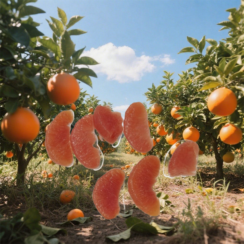 huayushipin Grapefruit Slices in syrup（Specific prices consult customer service）Large and whole, sweet and tart