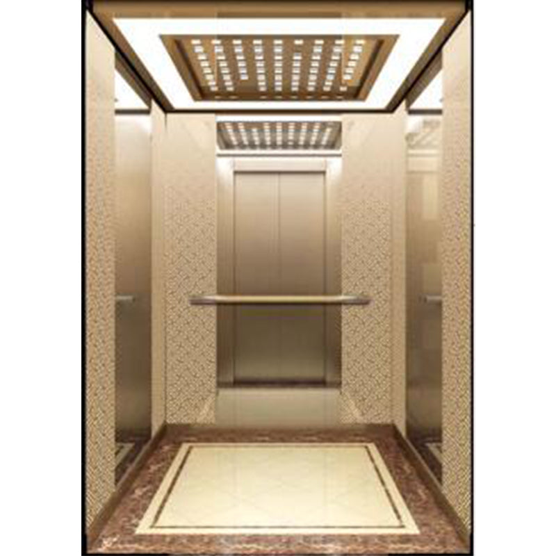 apashilongdianti Classic passenger elevator APSL-B03  Small villa elevator hydraulic elevator