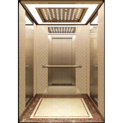 apashilongdianti Classic passenger elevator APSL-B03  Small villa elevator hydraulic elevator