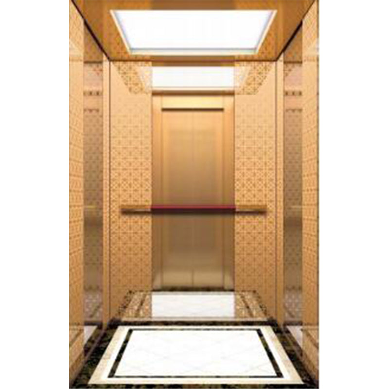 apashilongdianti Luxury passenger elevatorAPSL-K001  Small villa elevator Residential elevator