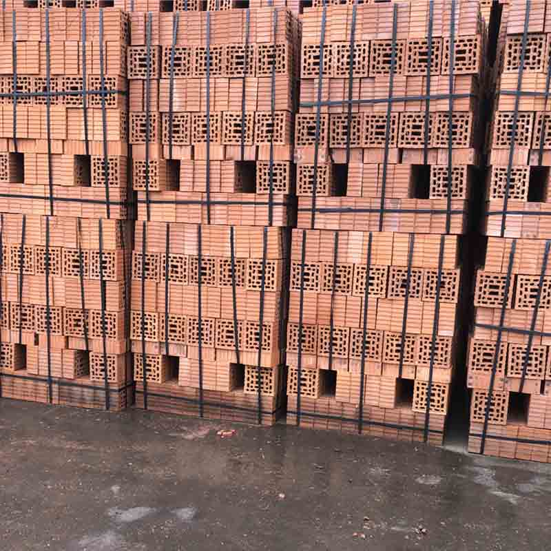 Tedon Coal gangue sintered porous brick   Porous red brick fireproof and moisture-proof