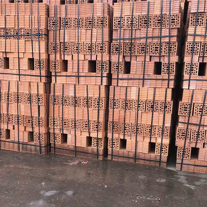 Tedon Coal gangue sintered porous brick   Porous red brick fireproof and moisture-proof