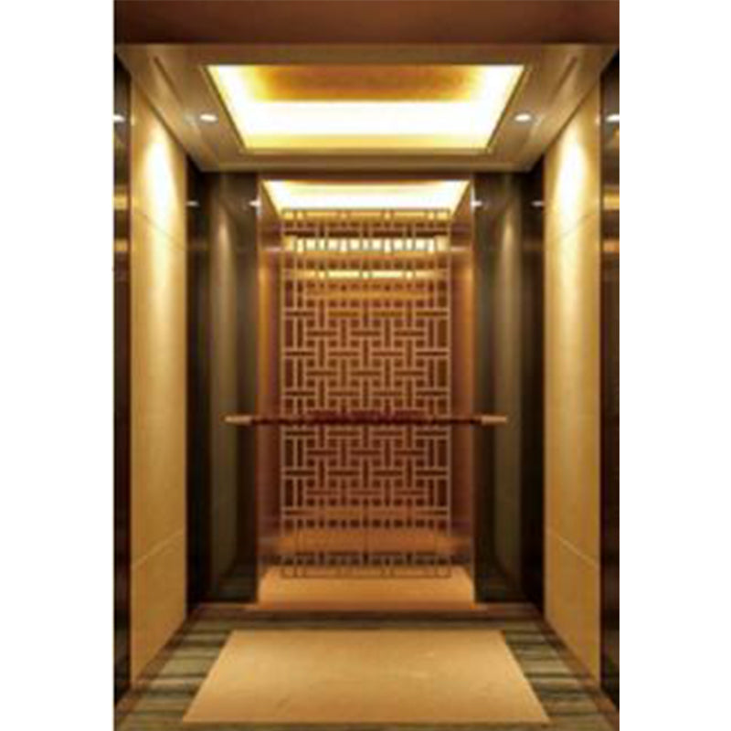 apashilongdianti Wooden decoration passenger villa elevatorAPSL-B09  Silent elevator Residential elevator