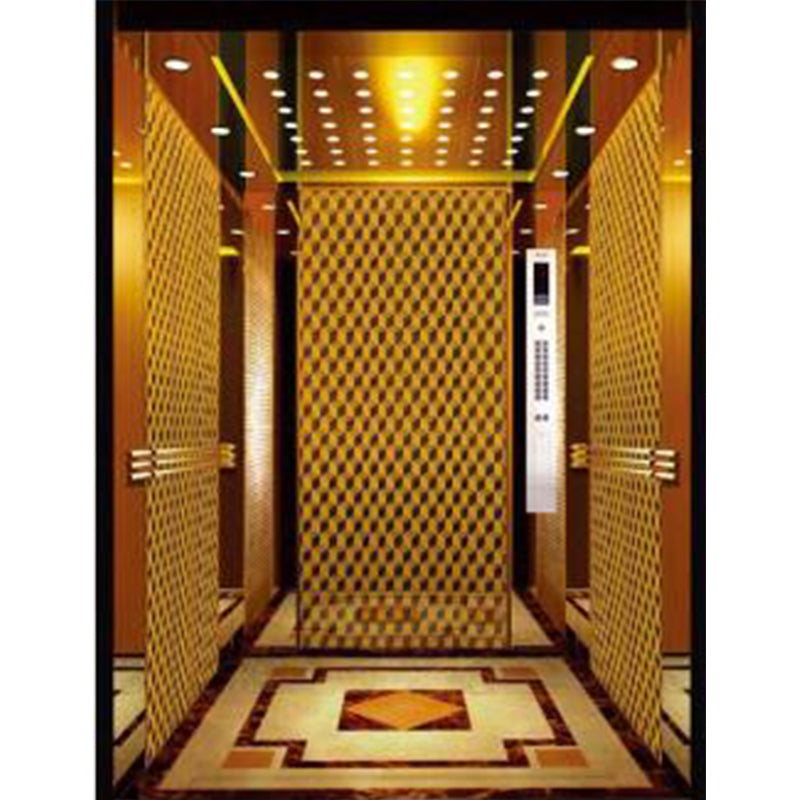 apashilongdianti Luxury Villa passenger liftAPSL-R2019-19  Silent elevator Residential elevator