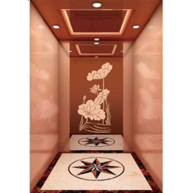 apashilongdianti Boutique passenger villa elevatorAPSL-R114  Silent lift home outdoor