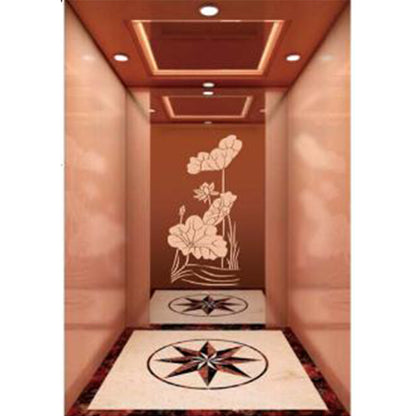 apashilongdianti Boutique passenger villa elevatorAPSL-R114  Silent lift home outdoor