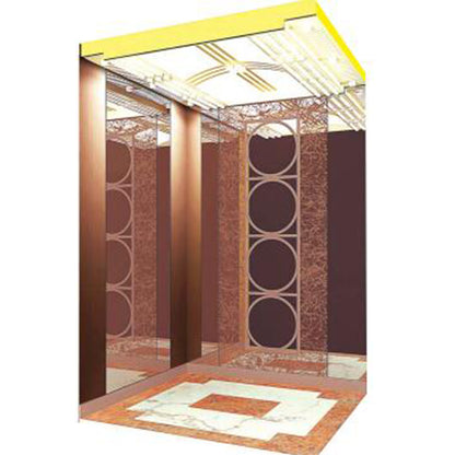 apashilongdianti Luxury villa elevatorAPSL-B21  Silent elevator Residential elevator