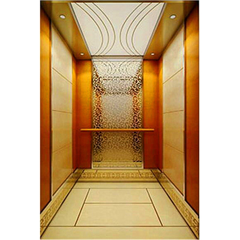 apashilongdianti Luxury villa elevatorAPSL-B07  Silent elevator Residential elevator