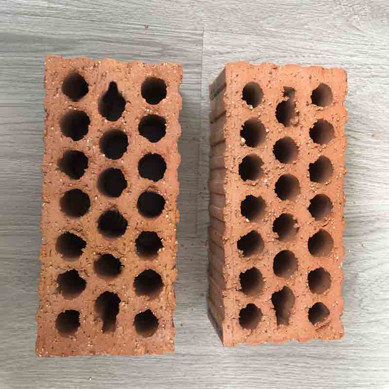 Tedon Coal gangue sintered porous brick  Perforated wall bricks Build wall bricks
