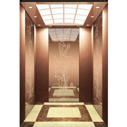 apashilongdianti Boutique passenger villa elevatorAPSL-R2020-26  Silent lift home outdoor