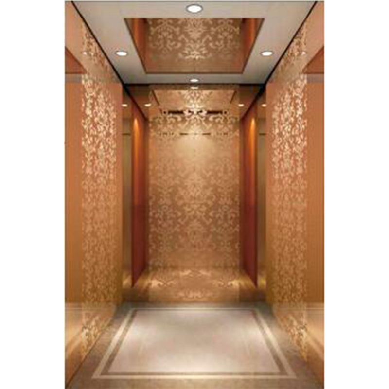 apashilongdianti Classic passenger elevator APSL-B03  Small villa elevator hydraulic elevator