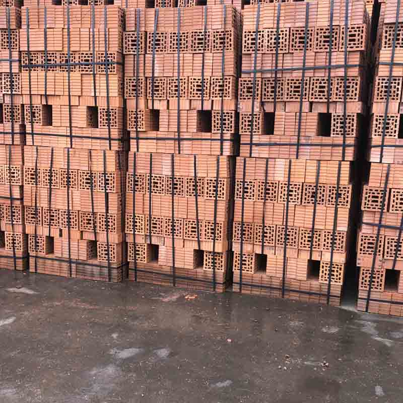 Tedon Coal gangue sintered porous brick  Perforated wall bricks Build wall bricks