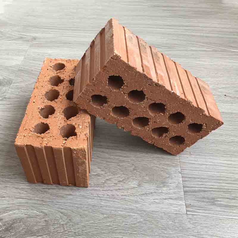 Tedon Coal gangue sintered porous brick   Porous red brick fireproof and moisture-proof
