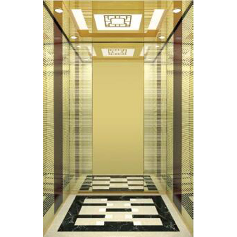 apashilongdianti Luxury passenger elevatorAPSL-K001  Small villa elevator Residential elevator
