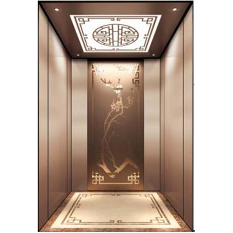 apashilongdianti Boutique passenger villa elevatorAPSL-R114  Silent lift home outdoor