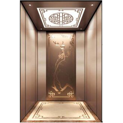 apashilongdianti Boutique passenger villa elevatorAPSL-R114  Silent lift home outdoor